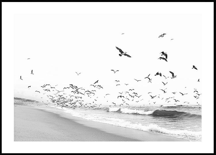 Seascape BW (NOU)