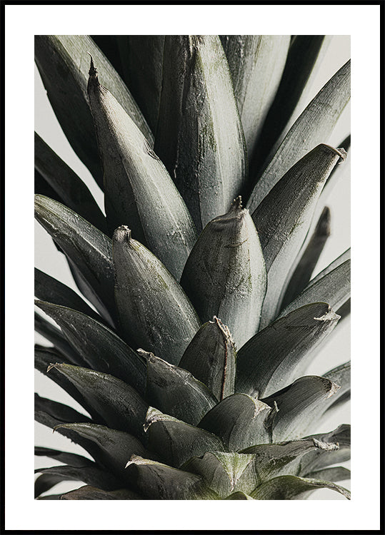 Poster mit Ananas aus nächster Nähe
