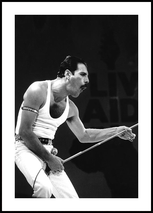 Freddie Mercury on Stage Plakat - Posterbox.dk