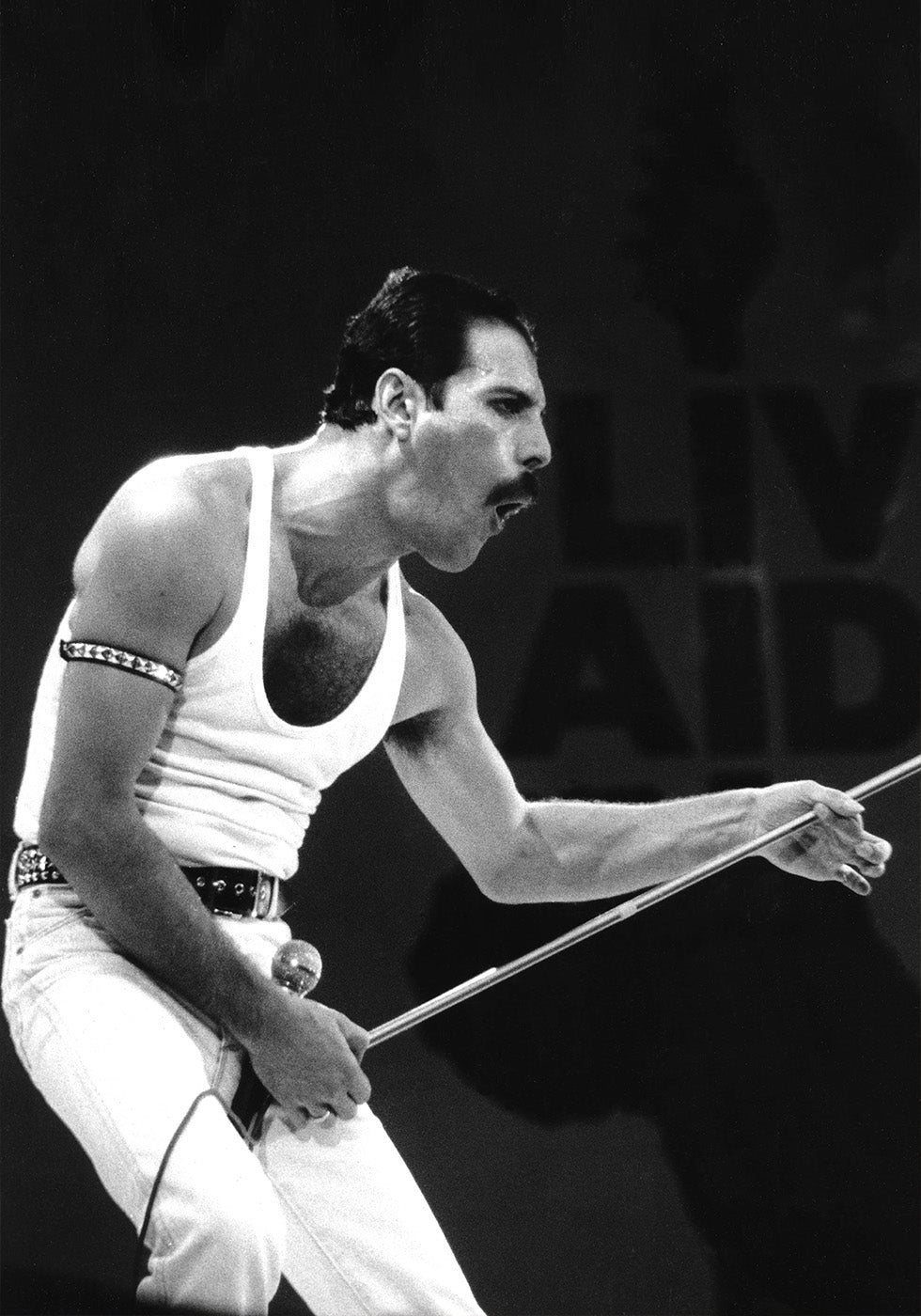 Freddie Mercury on Stage Plakat - Posterbox.dk