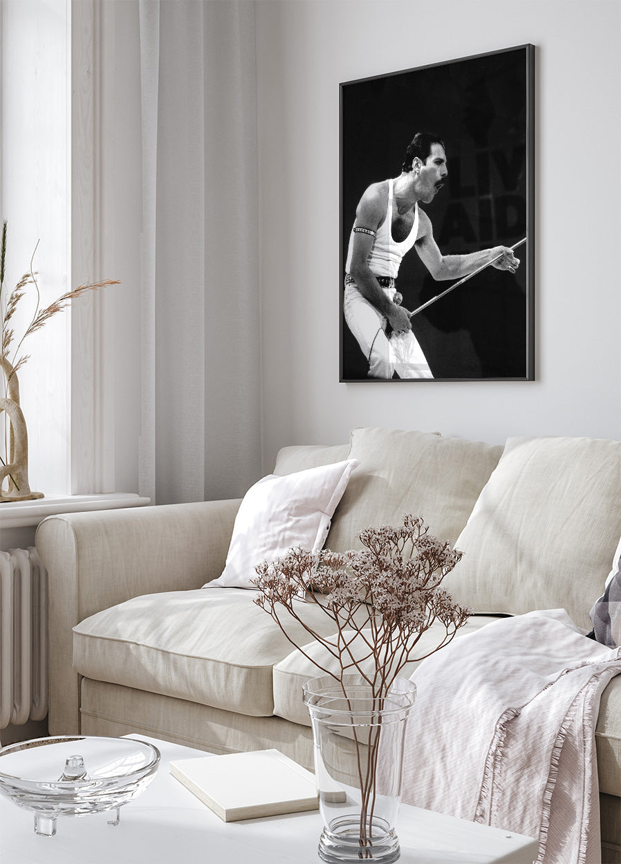 Freddie Mercury on Stage Plakat - Posterbox.dk