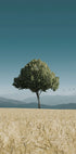 Green Tree In The Field Plakat - Posterbox.dk