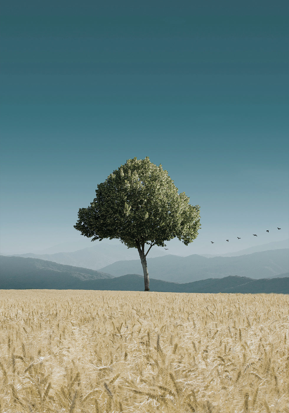 Green Tree In The Field Plakat - Posterbox.dk