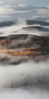 Misty Valley Plakat - Posterbox.dk