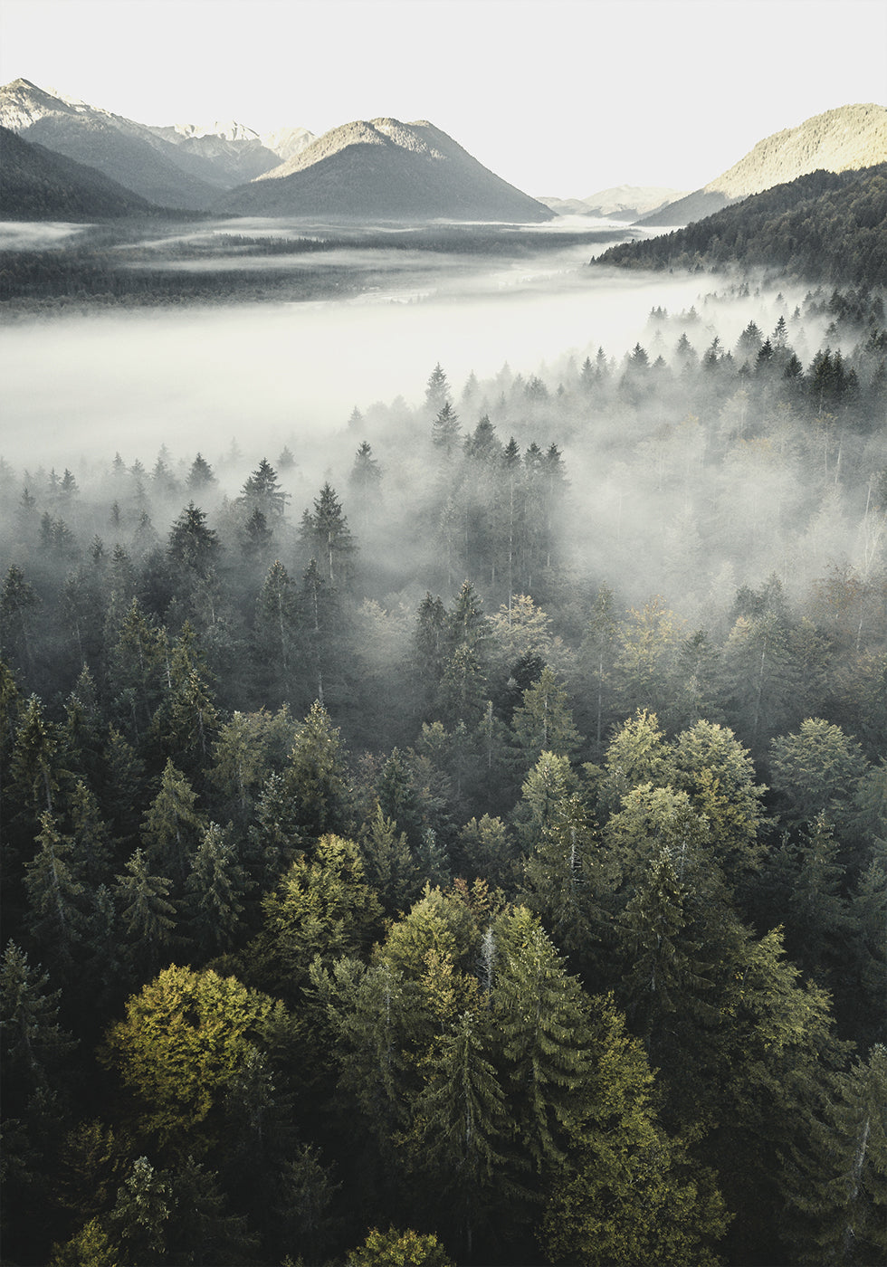 Misty Mountain Plakat - Posterbox.dk