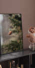 Pine Cones Plakat - Posterbox.dk