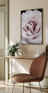 Pink Rose Plakat - Posterbox.dk
