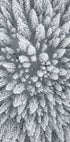 Snow Forest Aerial Plakat - Posterbox.dk