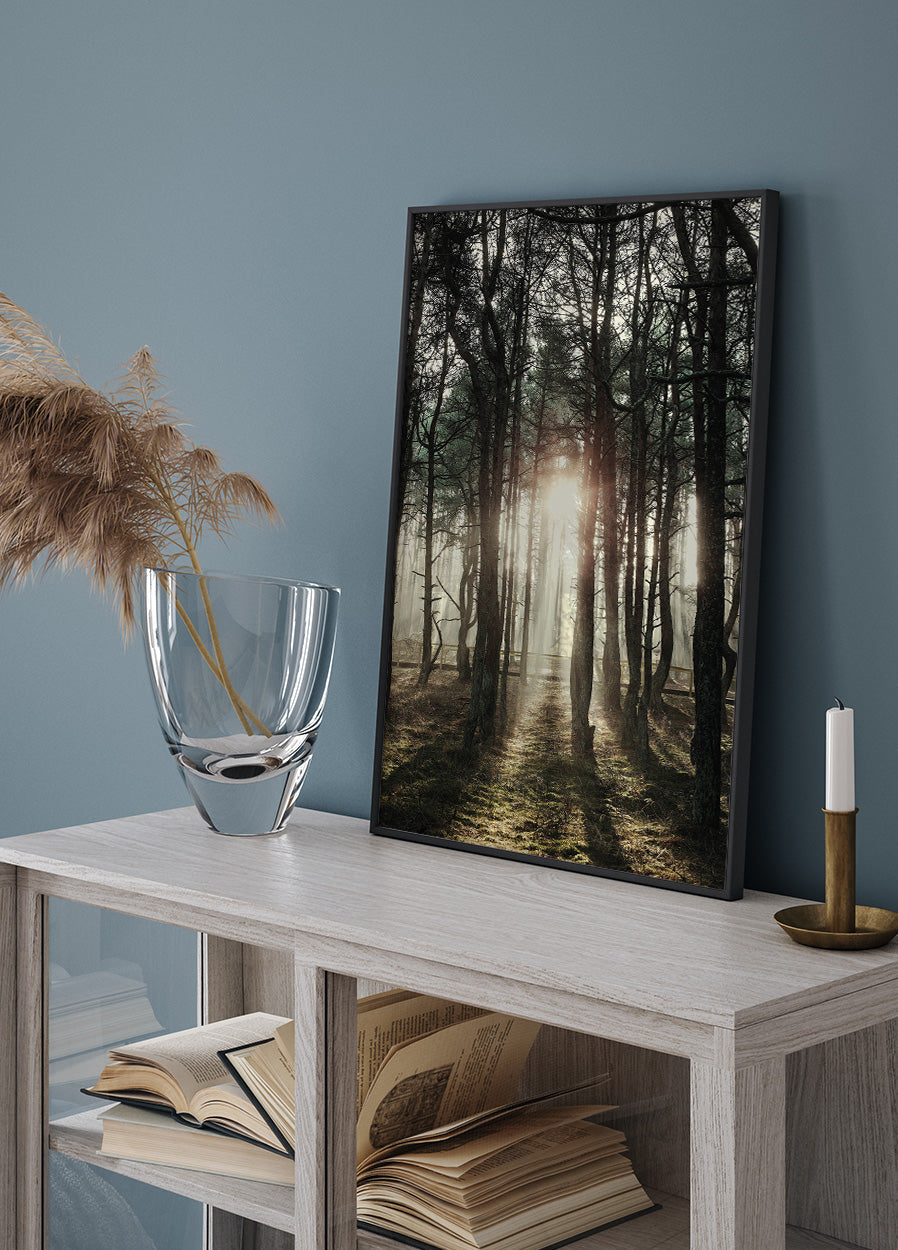 Sunlight Through The Trees Plakat - Posterbox.dk