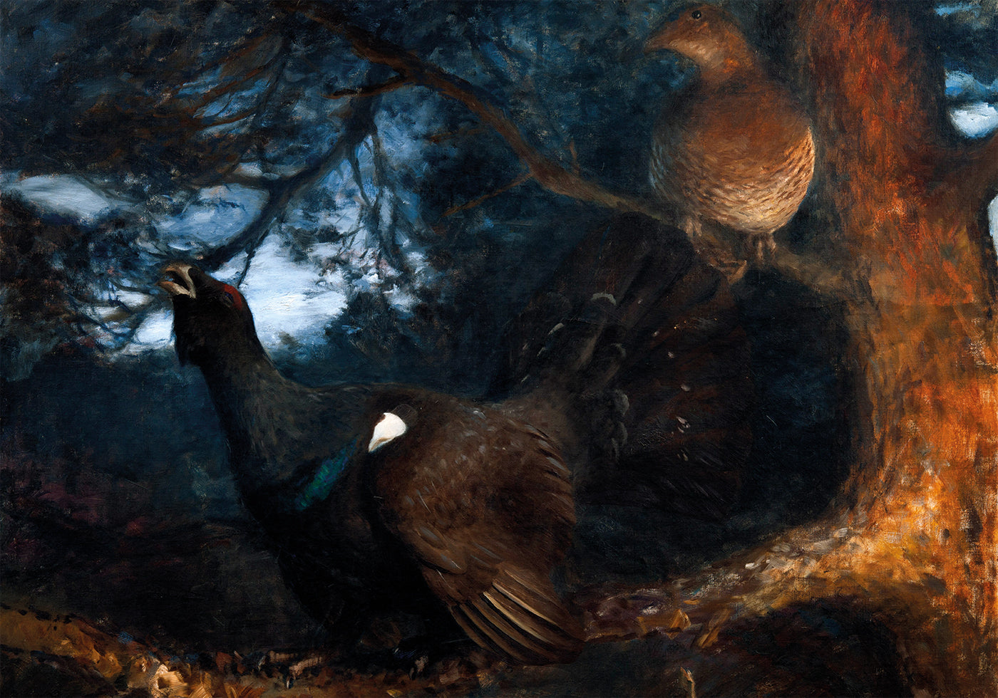 The Mating of the Capercaillies By Bruno Liljefors Plakat - Posterbox.dk