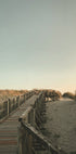 To The Beach Plakat - Posterbox.dk