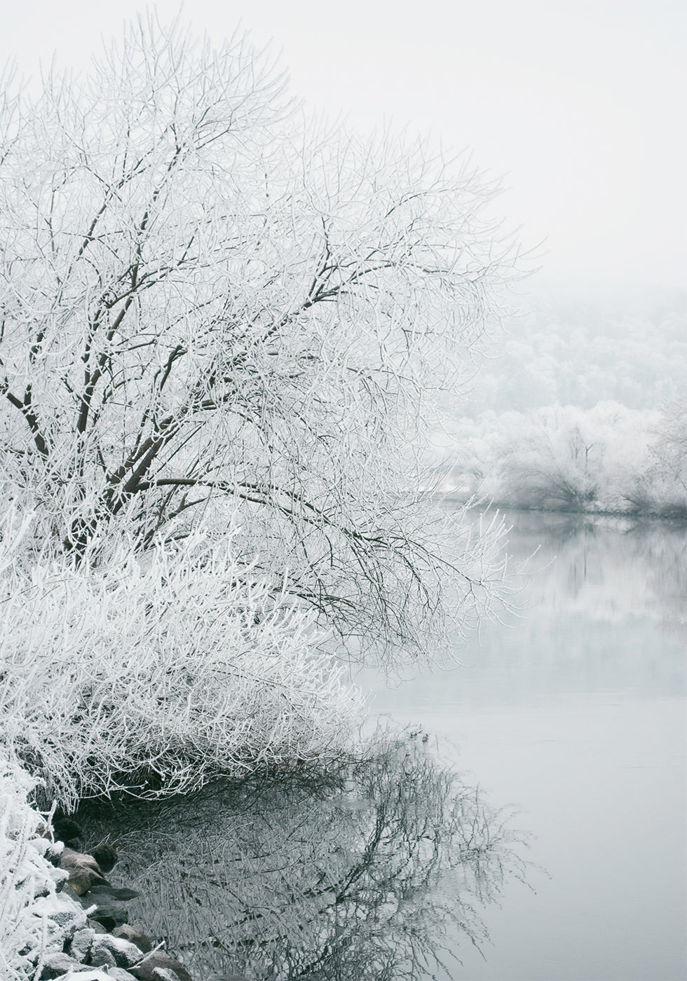 Winter Lake Plakat - Posterbox.dk