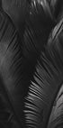 Palm Leaves Plakat - Posterbox.dk