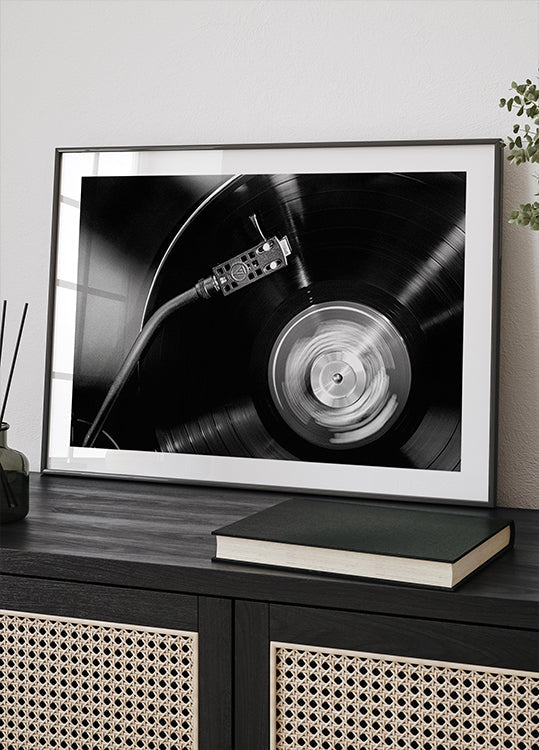 Vinilas_002