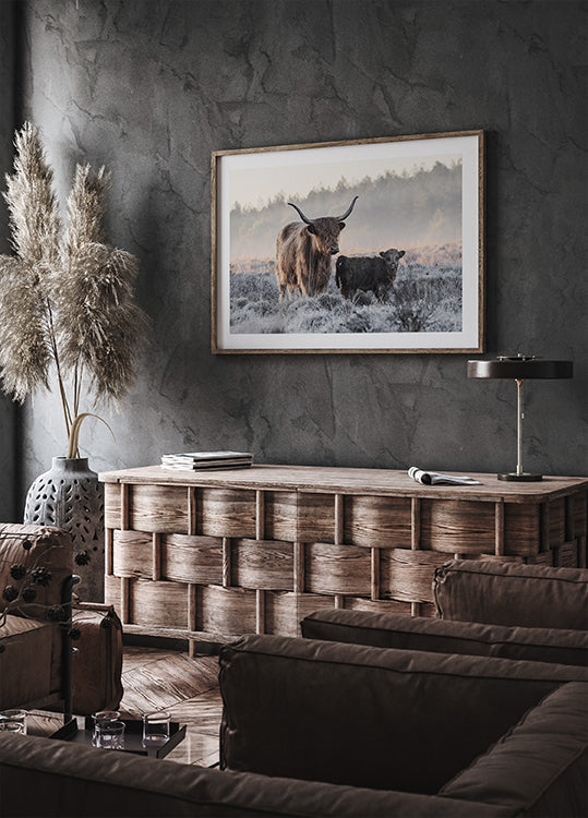 Plagát Highlander and Calf