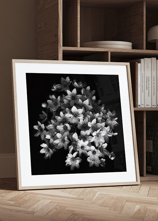 Korai szenzáció poszter