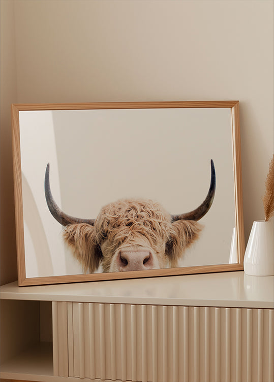 Plagát Pokukajúca krava