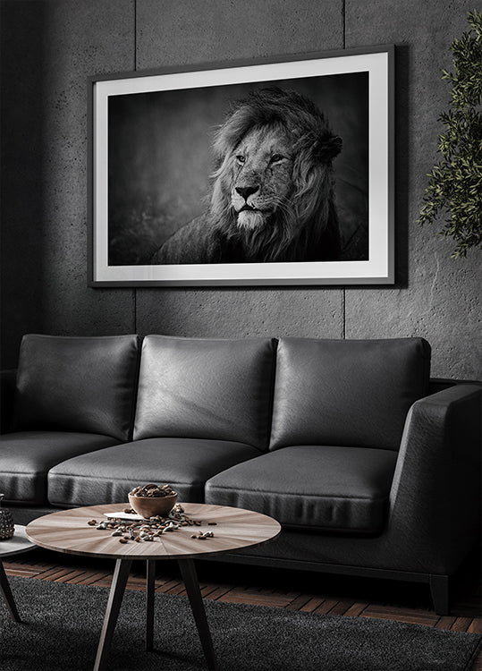 Regal Affiche