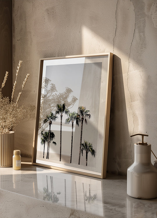 Pálmafák 5 poszter