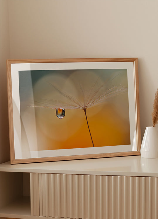 Little Night Music...