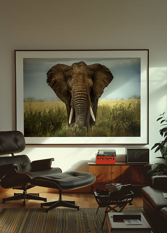 Stretnutia v Serengeti