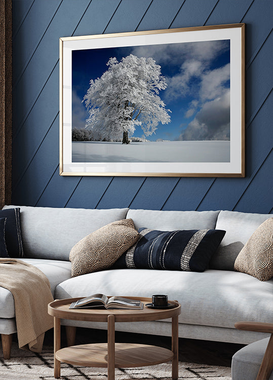 White Windbuche a Fekete-erdőben