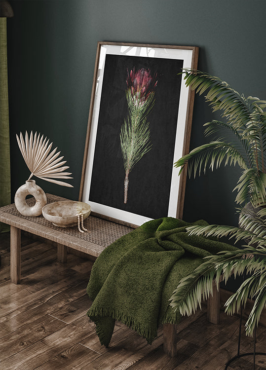 Protea Serenity plakatas