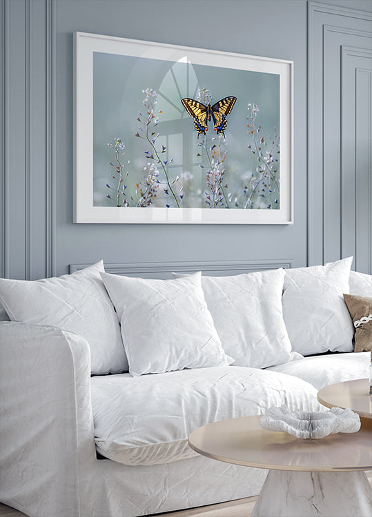 Swallowtail Schéinheet