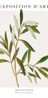 Olive Plakat - Posterbox.dk