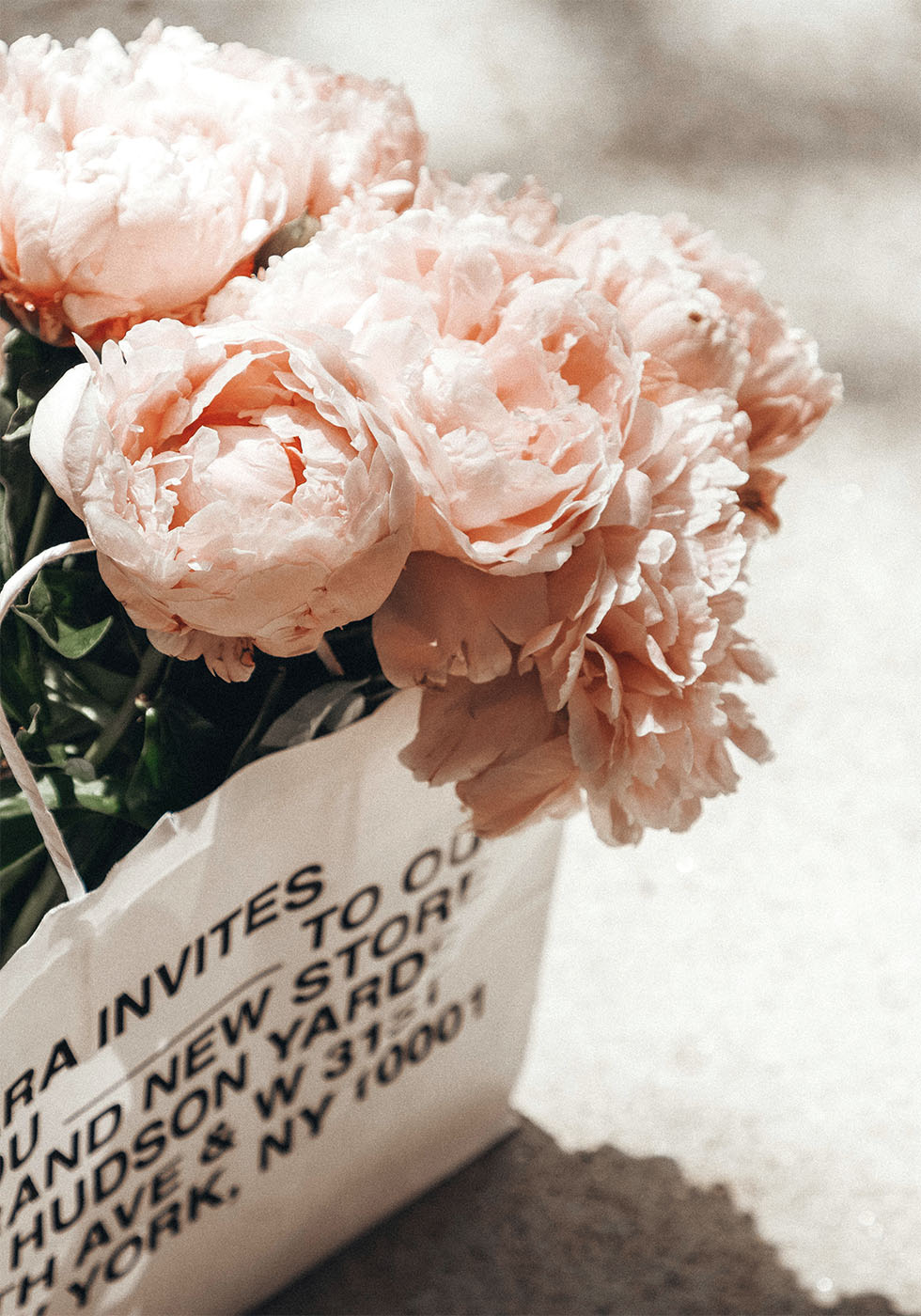 Package of Peonies Plakat - Posterbox.dk