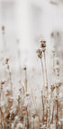 Autumn Dried Flowers Plakat - Posterbox.dk
