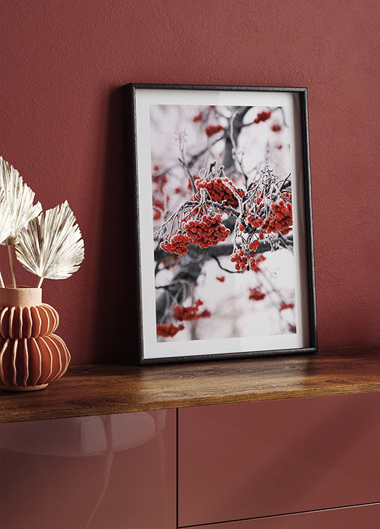 Frosted Red Berries on Winter Branches Plakat - Posterbox.dk