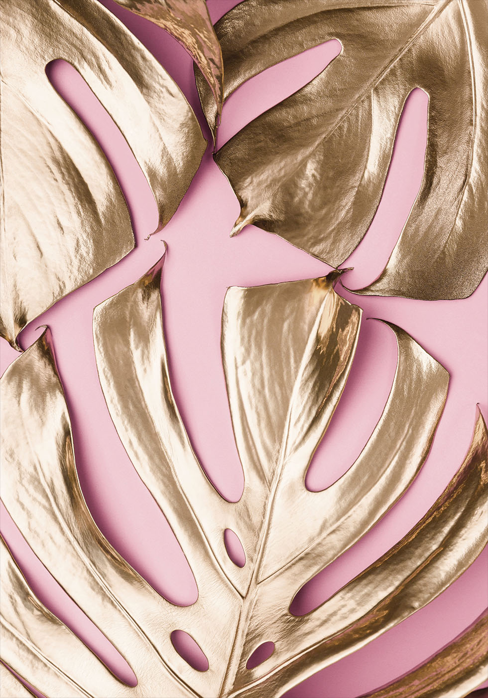 Golden Monstera №4 Plakat - Posterbox.dk