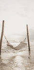 Hammock on a Tropical Beach Plakat - Posterbox.dk