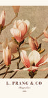 L. Prang & Co., Magnolia Plakat - Posterbox.dk