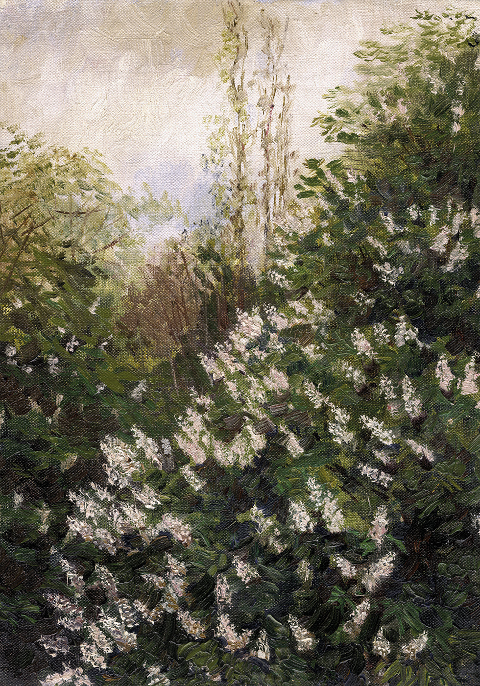Lilac Blossoms by Ladislav Mednyánszky Plakat - Posterbox.dk