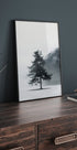 Lone Pine Tree in Foggy Field Plakat - Posterbox.dk