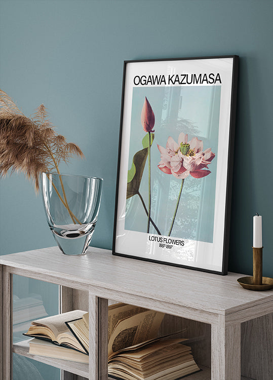 Lotus Flowers Print, Ogawa Kazumasa Plakat - Posterbox.dk