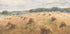 Maryland Wheat Fields Landscape Plakat - Posterbox.dk
