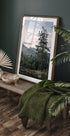 Nordic Forest and Lake View Plakat - Posterbox.dk