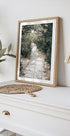 Olive Tree Garden Plakat - Posterbox.dk
