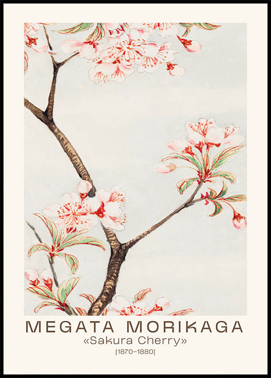 Sakura Cherry Japanese Blossom, Megata Morikaga 1870–1880 Plakat - Posterbox.dk