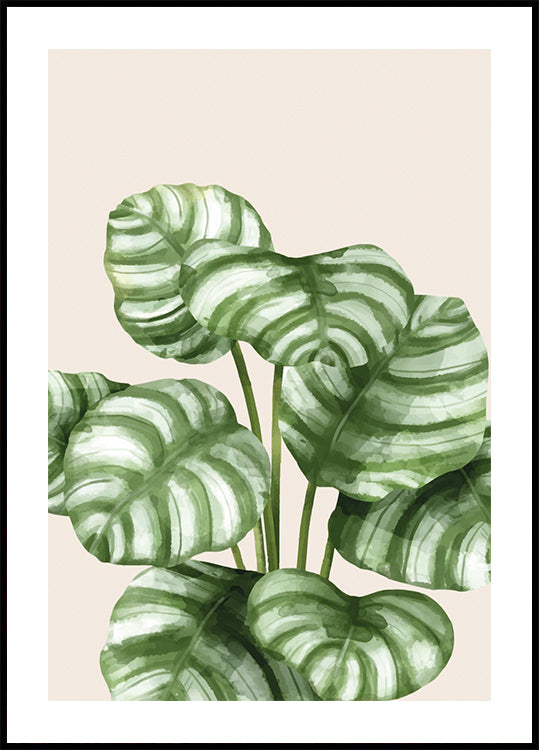 Striped Green Leaves Botanical Plakat - Posterbox.dk