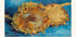 V. Gogh-Sunflowers Plakat - Posterbox.dk