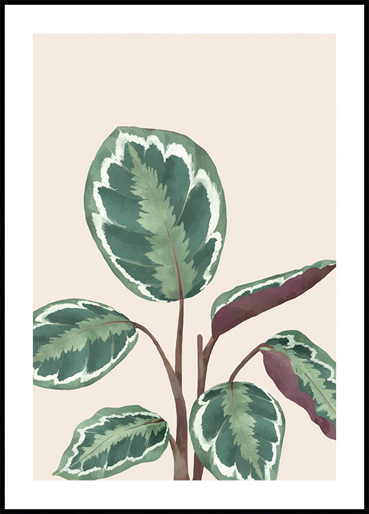 Variegated Green and Purple Plant Plakat - Posterbox.dk