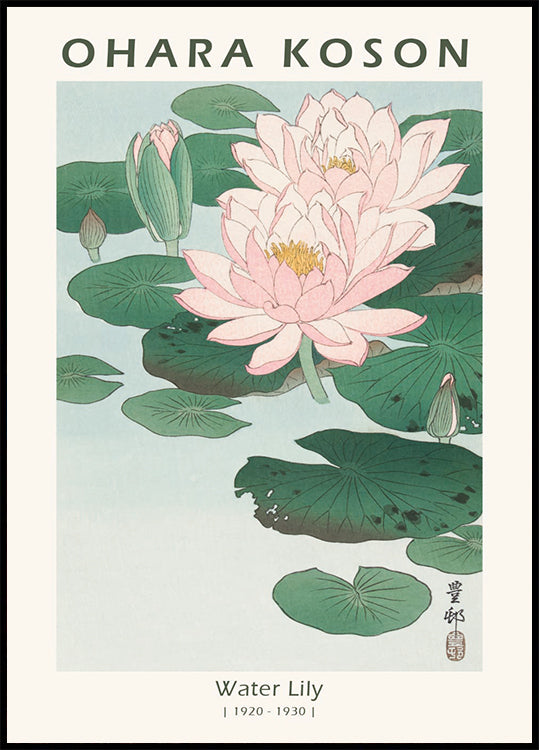Water Lily, Japanese Woodblock By Ohara Koson Plakat - Posterbox.dk