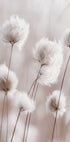 White Cotton Grass Plakat - Posterbox.dk