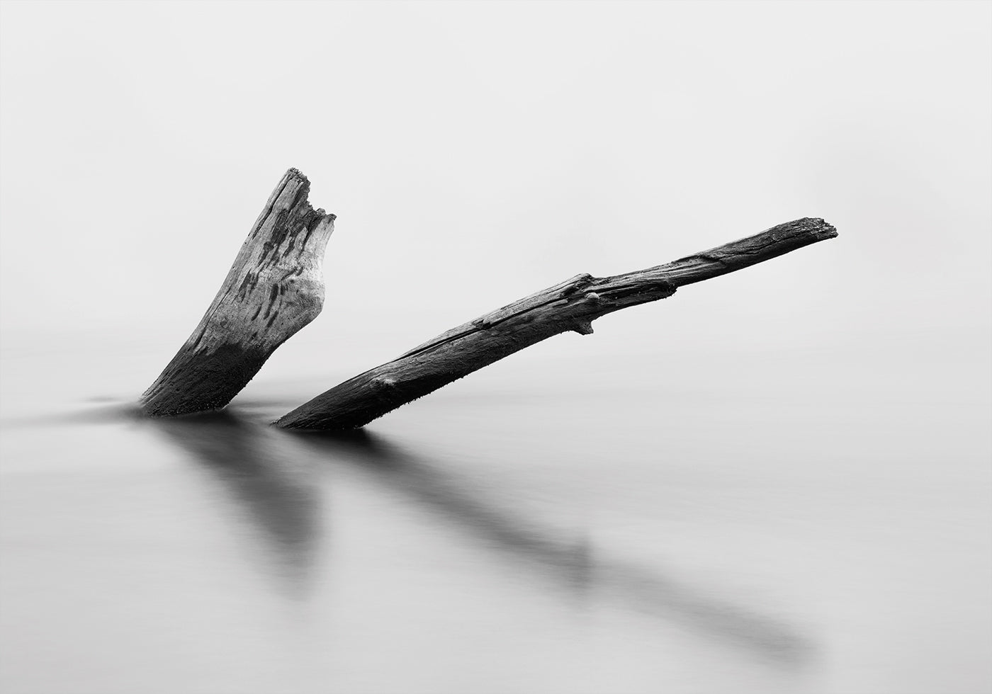 Wooden Log In The Water Plakat - Posterbox.dk