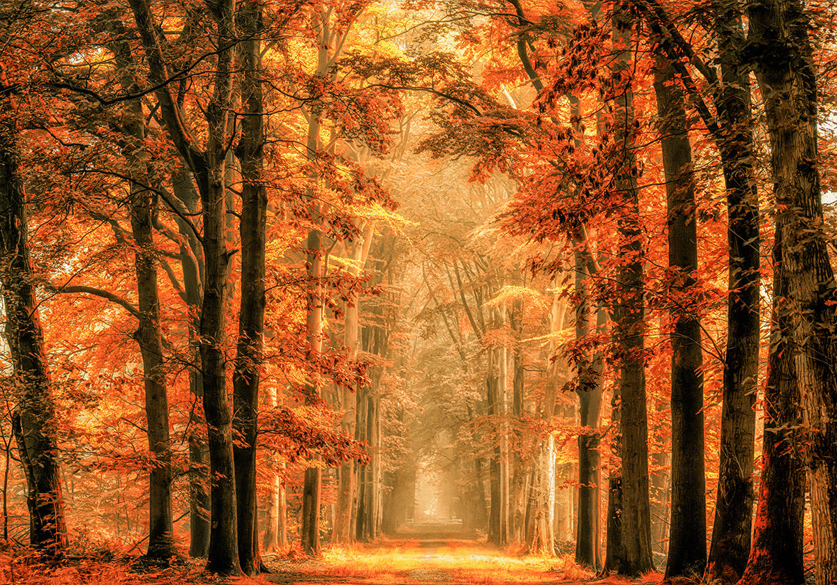 Lépjen ki a Portál plakátjából