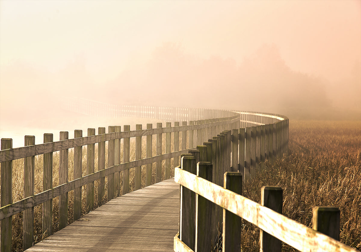 Kelias tampa šviesesnis.